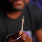 Сорт конопли Черная вдова описание свойства и преимущества выращивания image_106.jpg