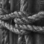 Посадка семян конопли и уход за растениями image_119.jpg