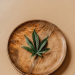 Семена конопли от Шишкина: качество и польза для здоровья image_307.jpg