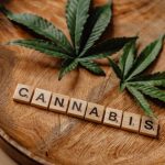 Проращивание семян конопли image_415.jpg