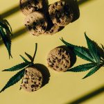 Сорт конопли Auto Super Lemon Haze feminised от Ganja Seeds image_440.jpg