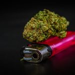 Семена конопли CBD Blue Shark feminised от Barneys Farm image_554.jpg