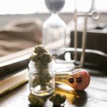 Семена марихуаны из Голландии особенности и преимущества image_78.jpg