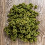 Сорт конопли Somango Widow feminised от Advanced Seeds images311.jpg