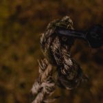 Покупка семян марихуаны в Санкт-Петербурге image_251.jpg