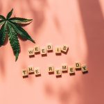 Проращивание семян конопли шаг за шагом image_294.jpg