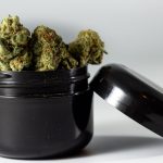 Культивирование семян конопли в Донецке: состояние и перспективы image_528.jpg