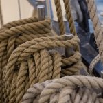 Культура марихуаны в Голландии и особенности приобретения семян images298.jpg