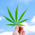 Паста из семян конопли полезные свойства и где купить images405.jpg